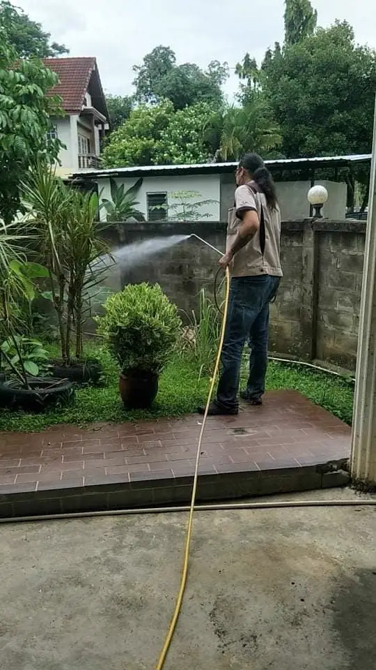 Outdoor garden mosquito misting and herbal spray treatment application